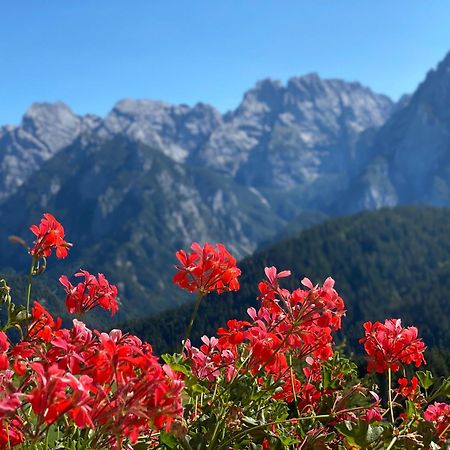Hotel Tre Pini Danta Екстериор снимка