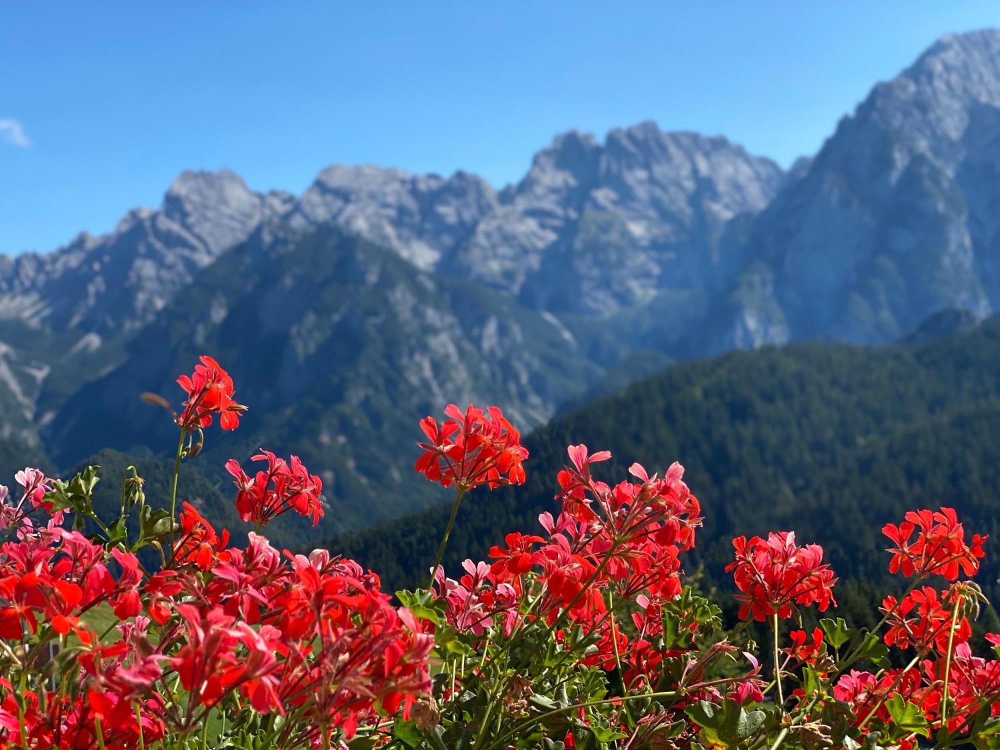 Hotel Tre Pini Danta Екстериор снимка
